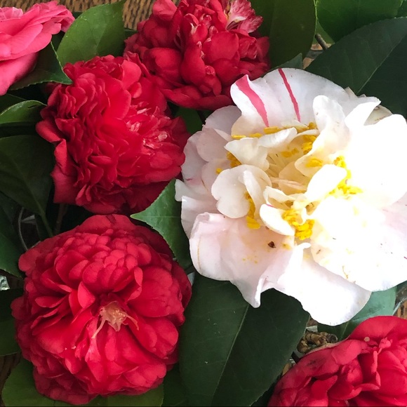 Welcome - Picture 16 of 16